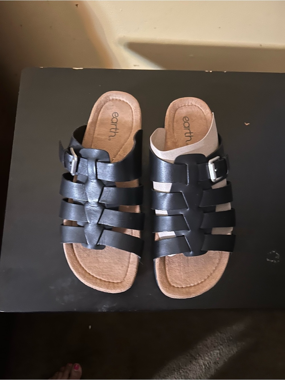 Earth Black Multi-Strap Slide Sandals with Buckle